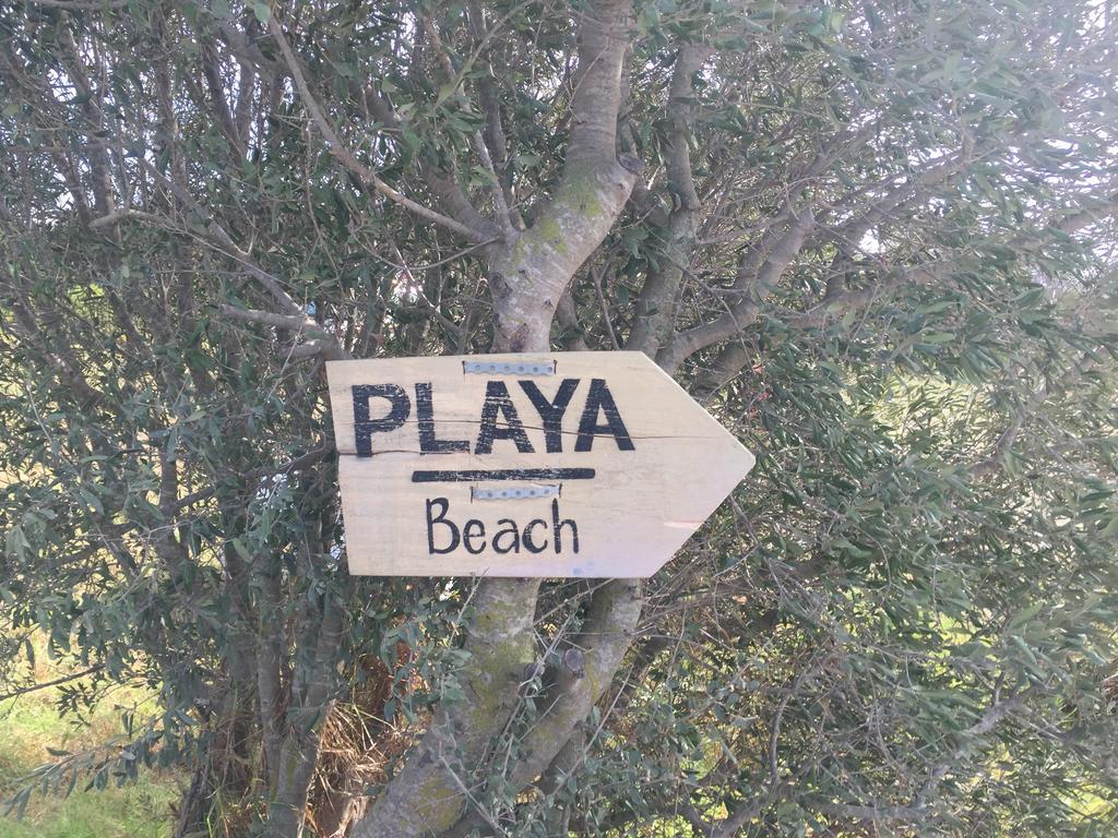 טריפה Bungalows Tangana מראה חיצוני תמונה